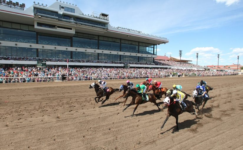 Crowd-Shot-6-16-13_1-825x510