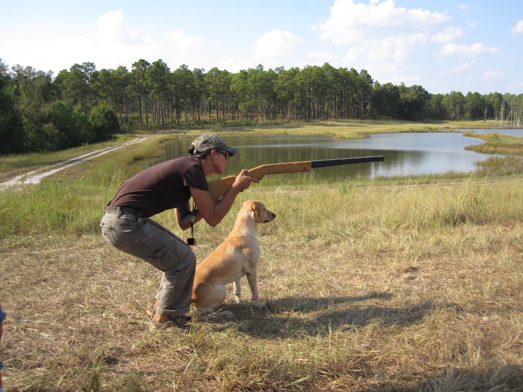 H. Cooper Black Jr. Memorial Field Trial and Recreation Area11