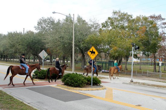 Helen S. Howarth Community Park3