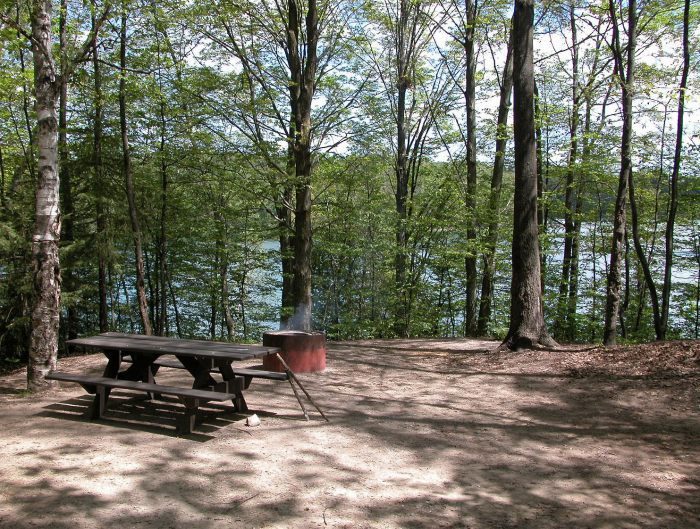 Lake Ann Pathway6