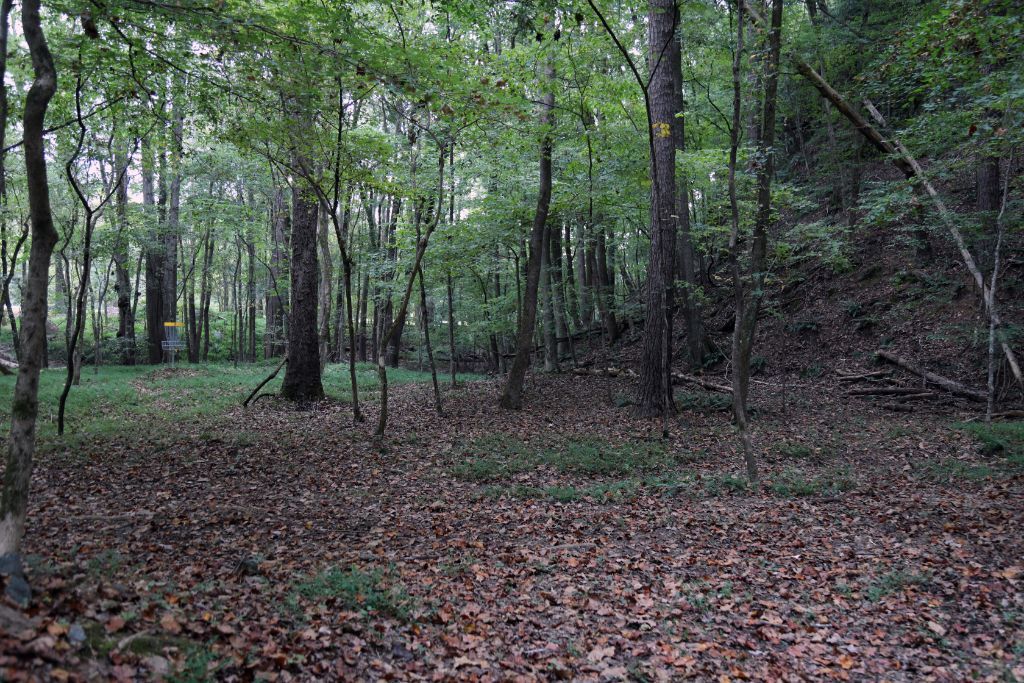 Etowah Disc Golf at Riverside Park6