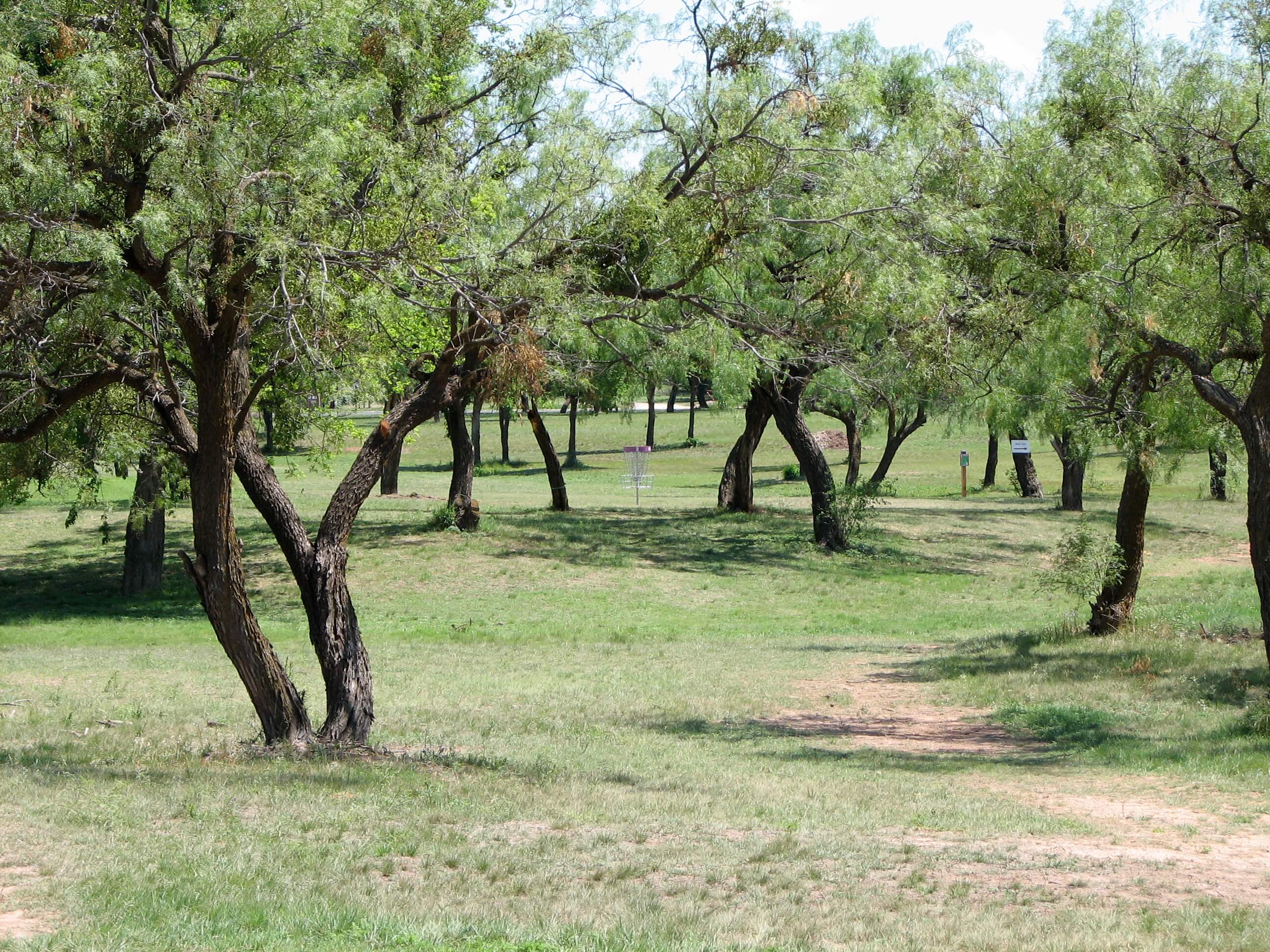 Wildcat Disc Golf Course8