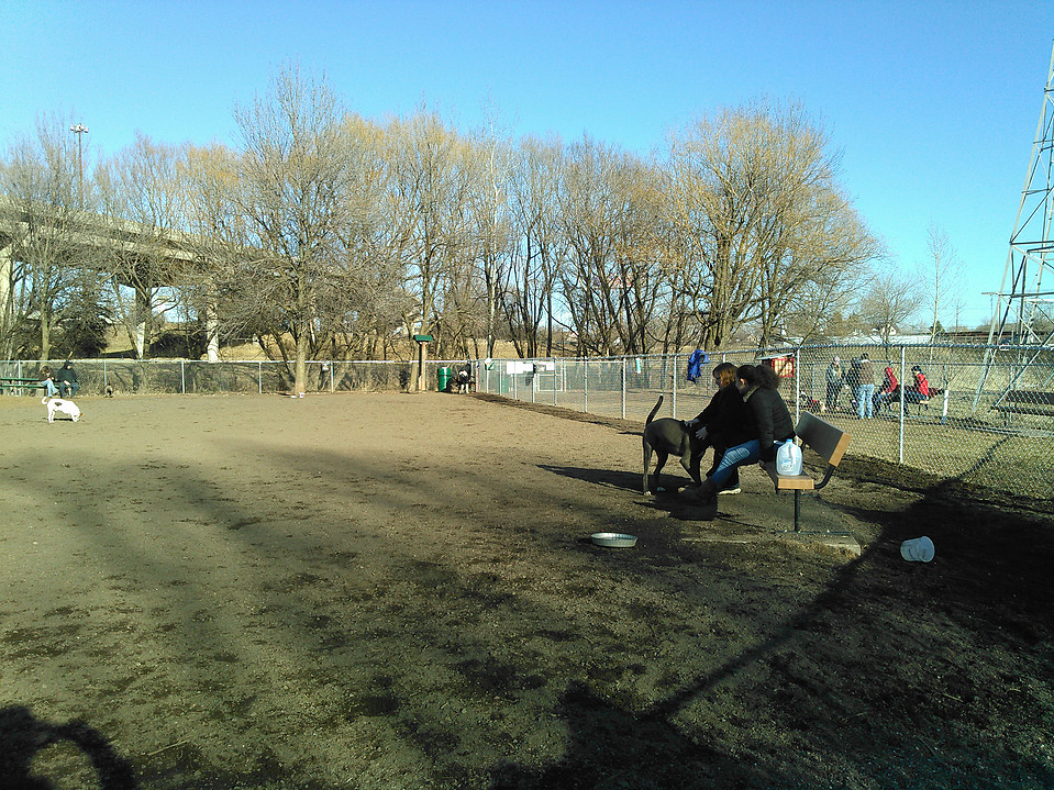 pet-friendly-travel-duluth-dog-parks-mn