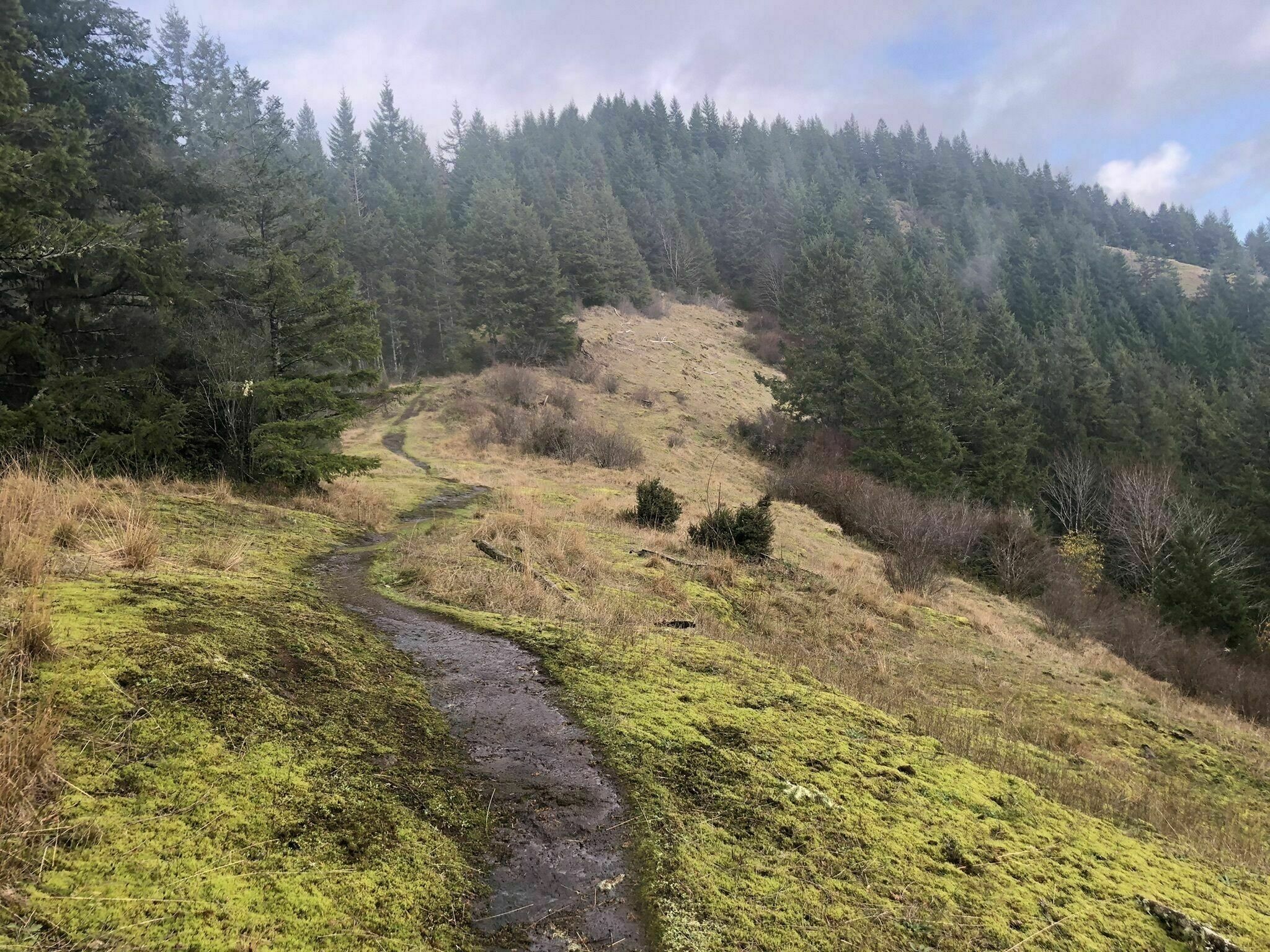 Cummins Creek Trail11