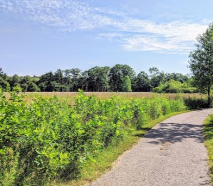 Hemlock Crossing6