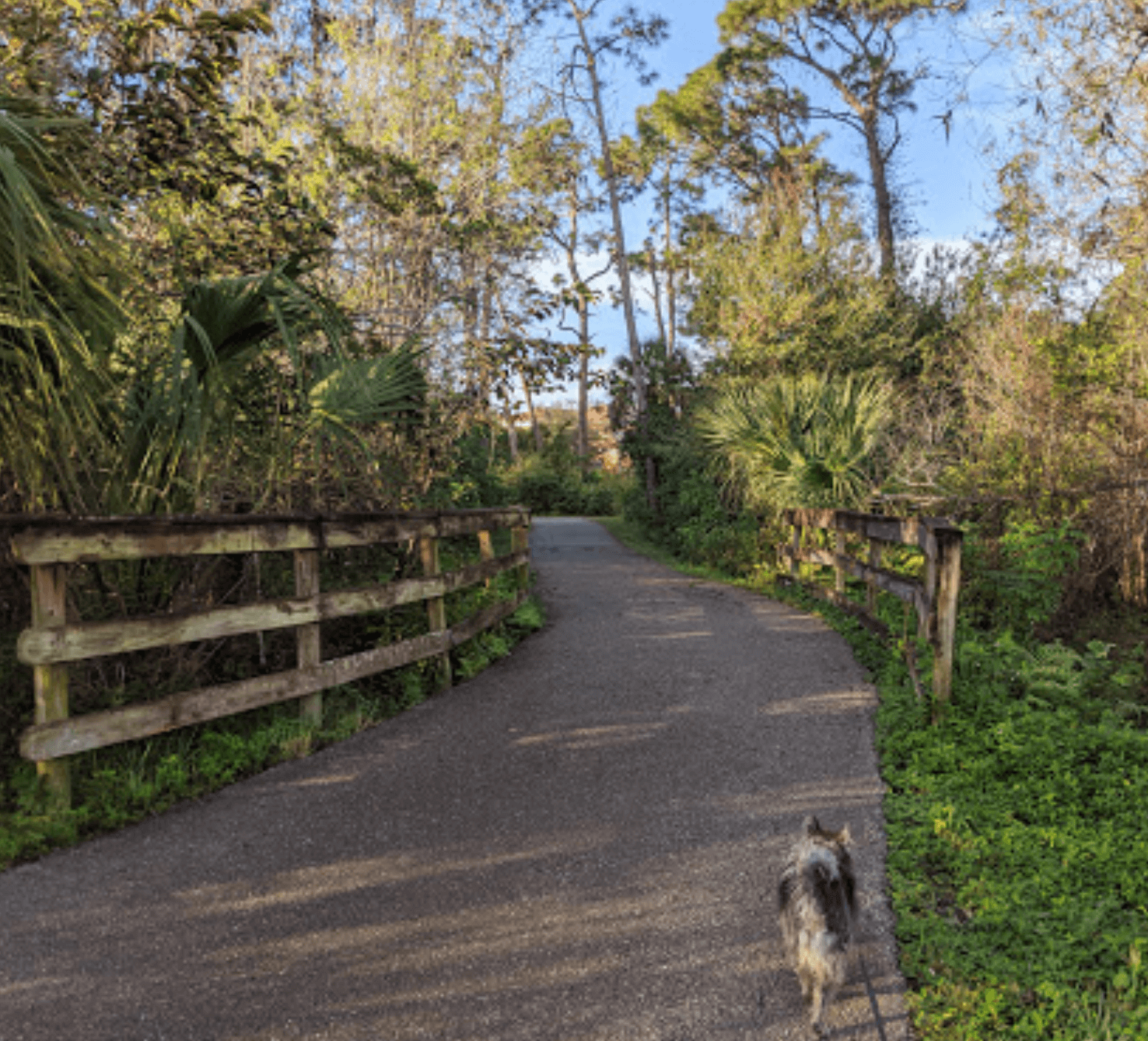 Sugden Regional Park 2