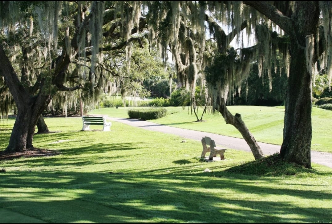 Dunedin Golf Club3