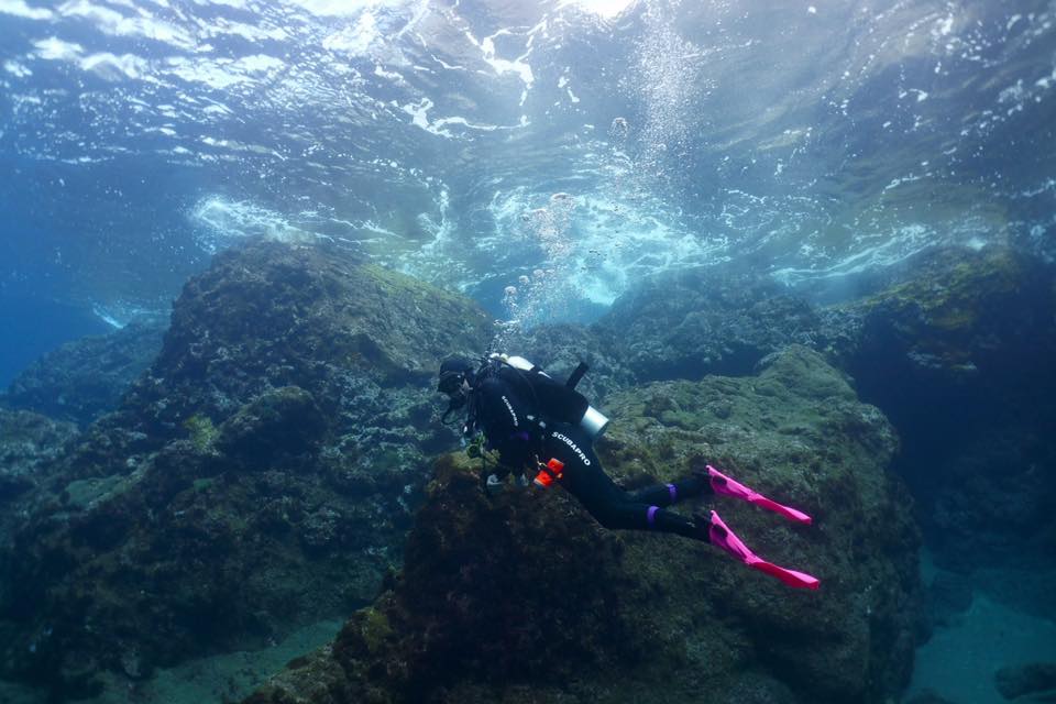 Scuba North 4