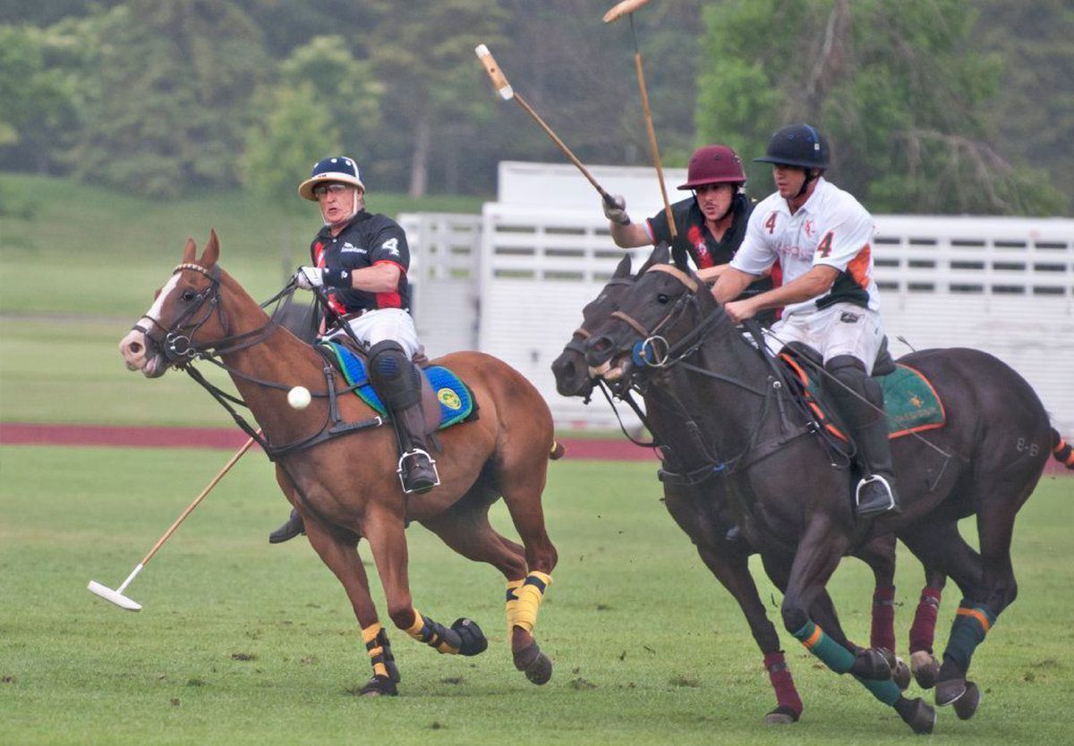 Polo 6