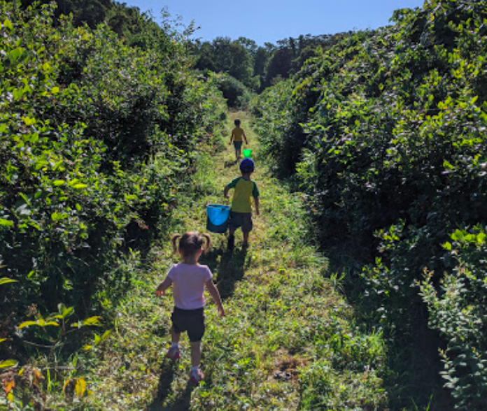 huyser farm park 7