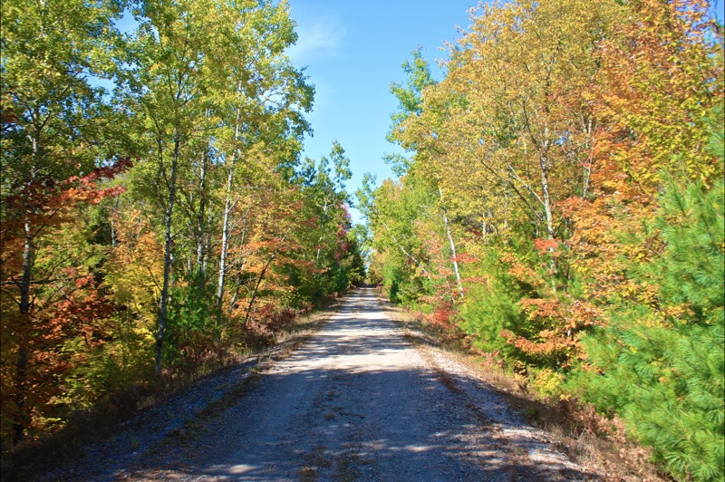 Betsie Valley Trail 4