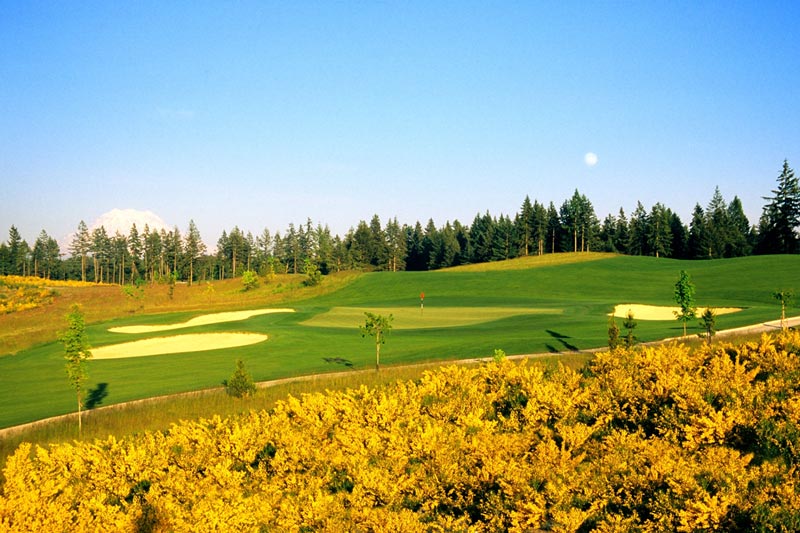 the home course 4