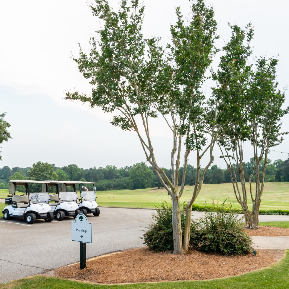 Greenwood Country Club - Golf3