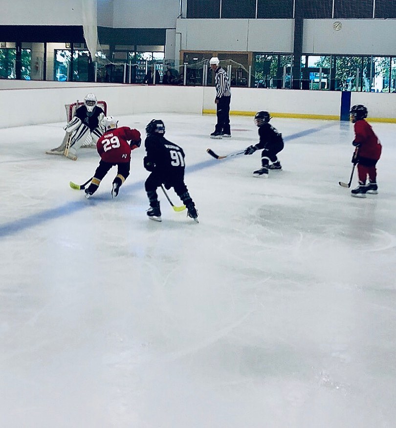 Aliso Viejo Ice Palace4