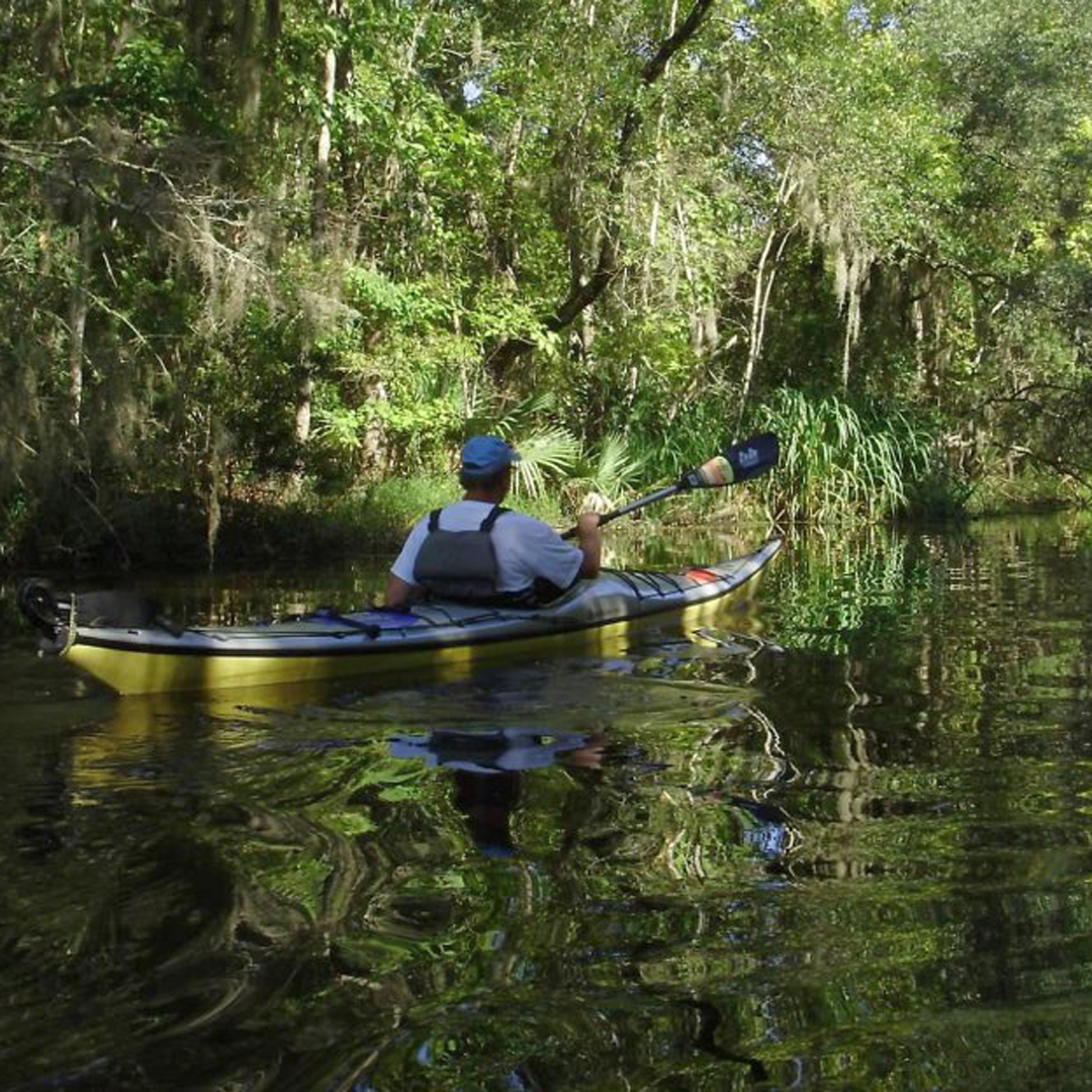 Paddling the Cajun Coast.jpg