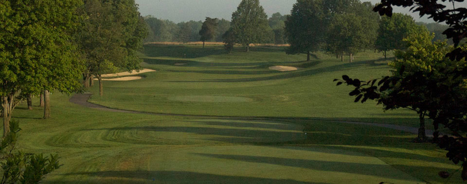 fort golf 4
