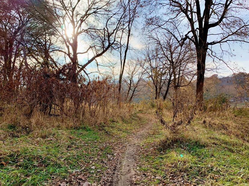 McAllister Park3