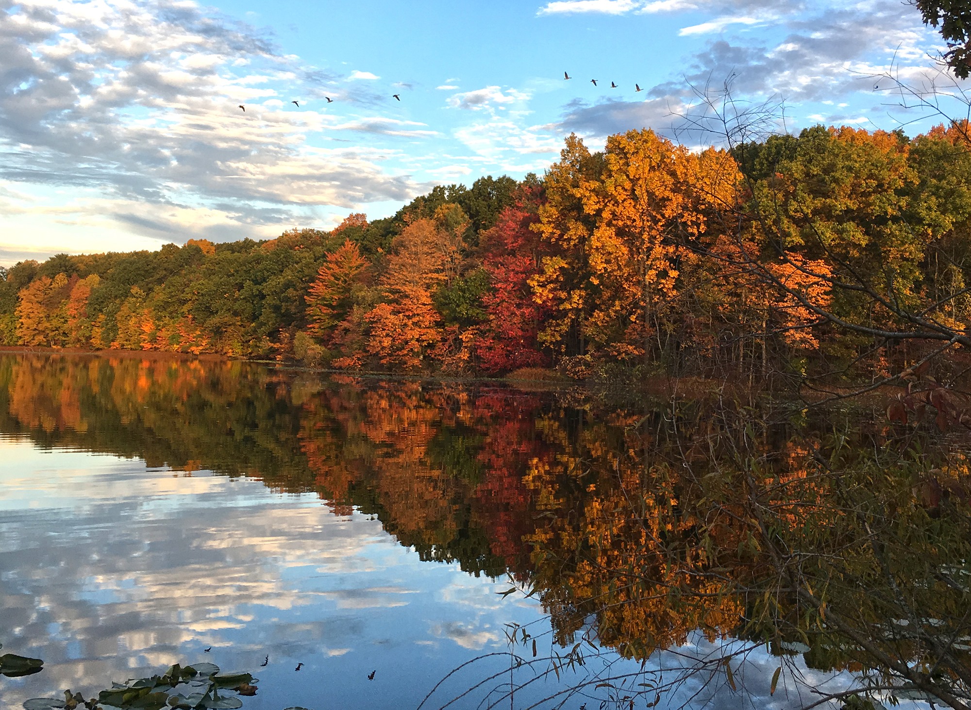 Portman Nature Preserve 4