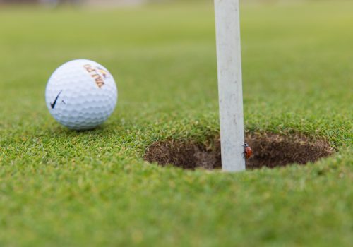 20140412-CK-W-Golf-063-500x350