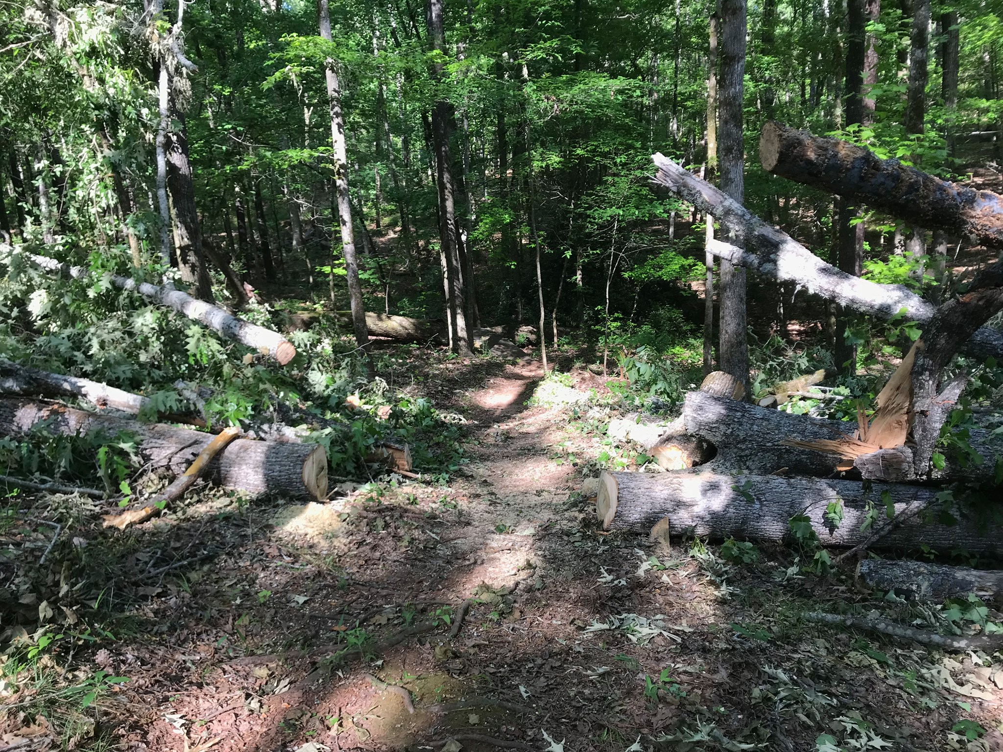 Lakeside Trails5