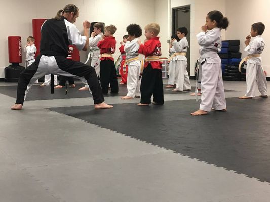 hive martial arts 4