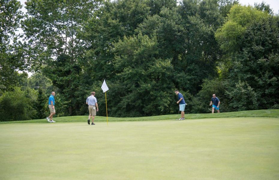 fairway hills green