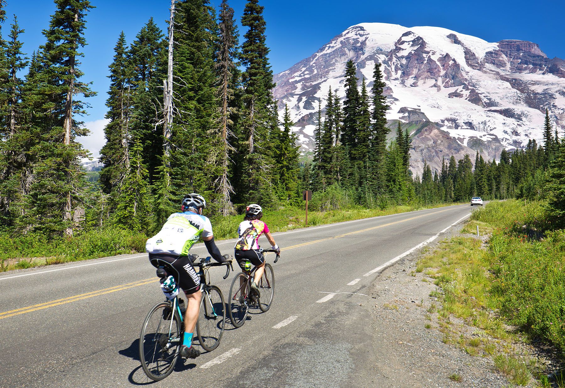 Mount Rainier National Park 5