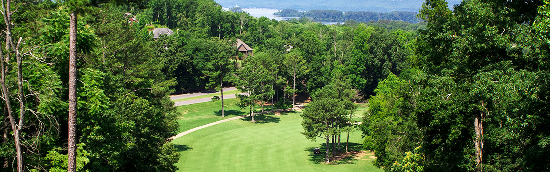 Gunter's Landing Golf, Inc. 3