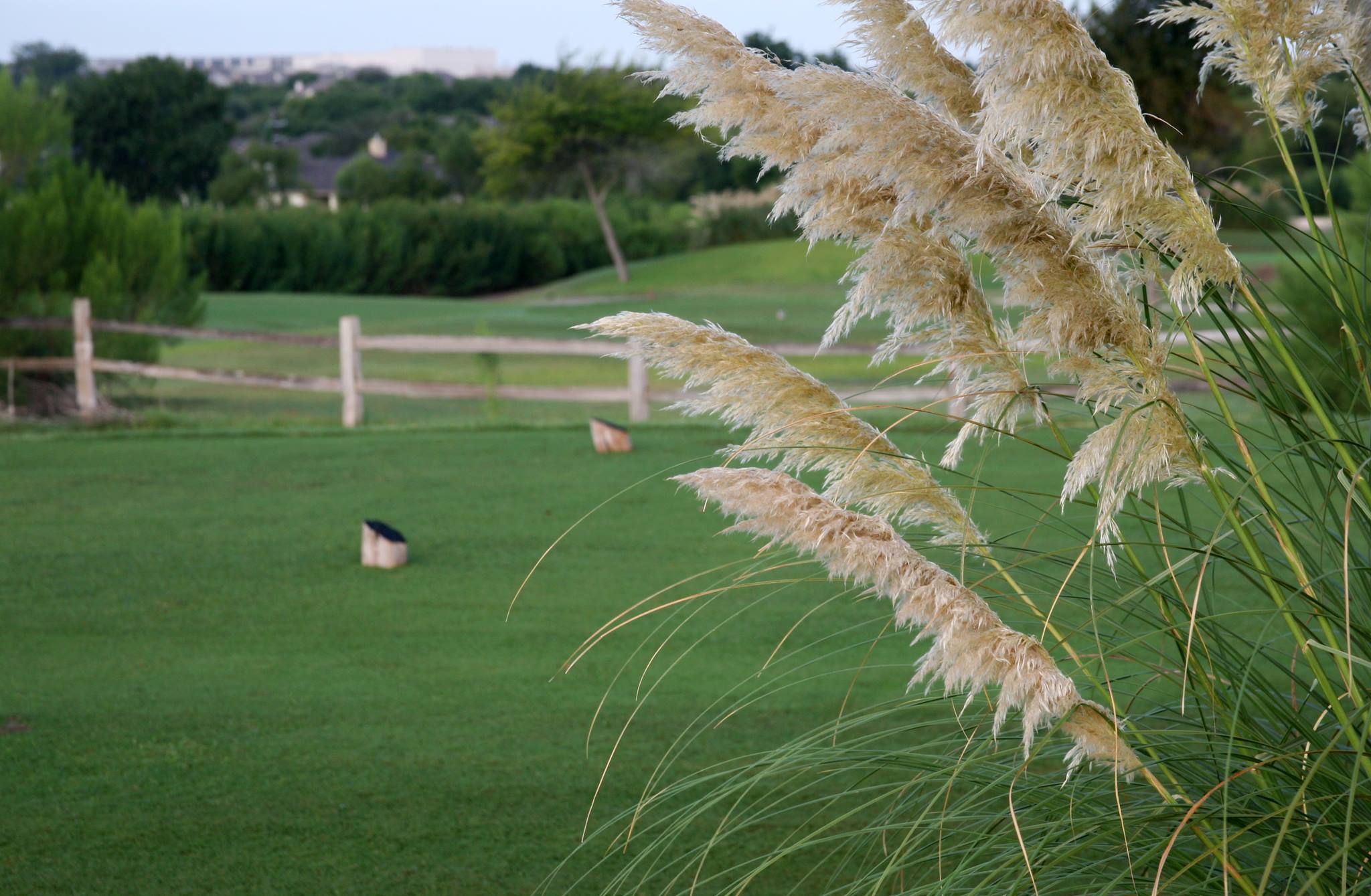 Blackhawk Golf Course