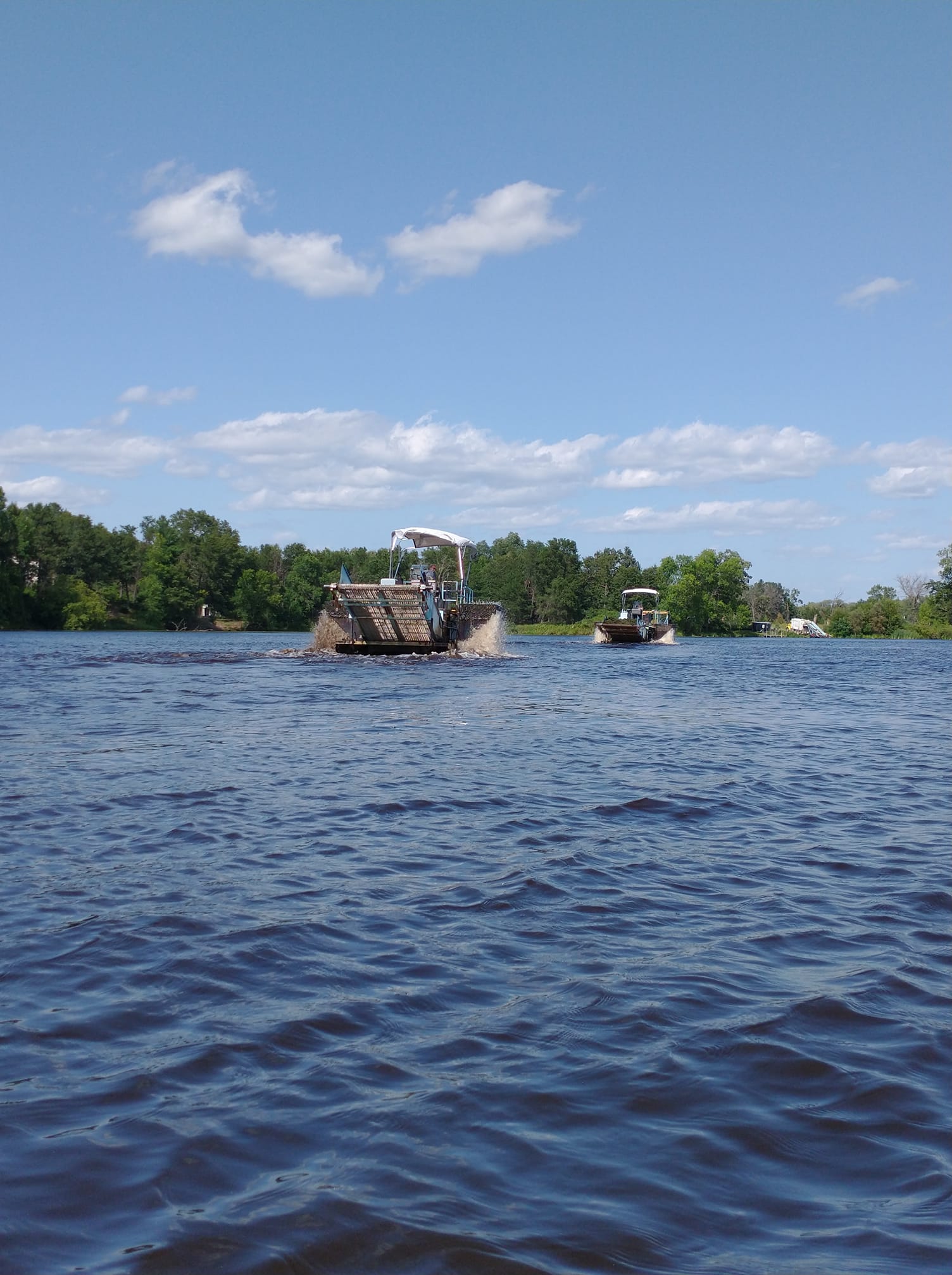 McDill Pond 5