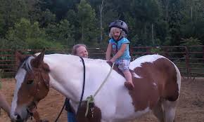 Oak Hill Farm & Stables rideing