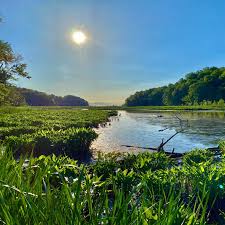 American Chestnut Land Trust- North Trail sunset
