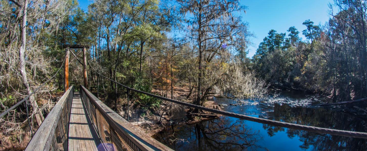 O'Leno State Park 1