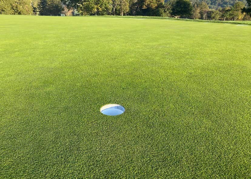 Lulu Country Club6