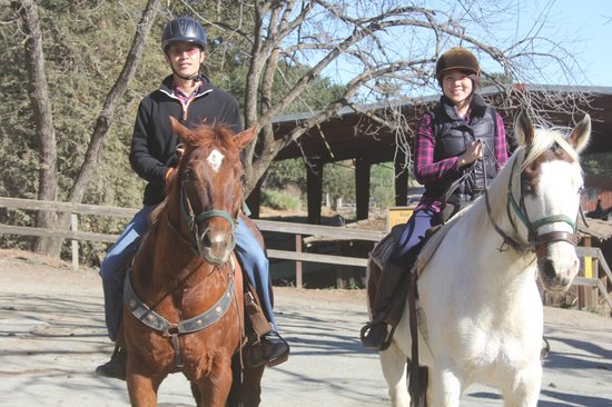 Garrod Farms and Stables 2