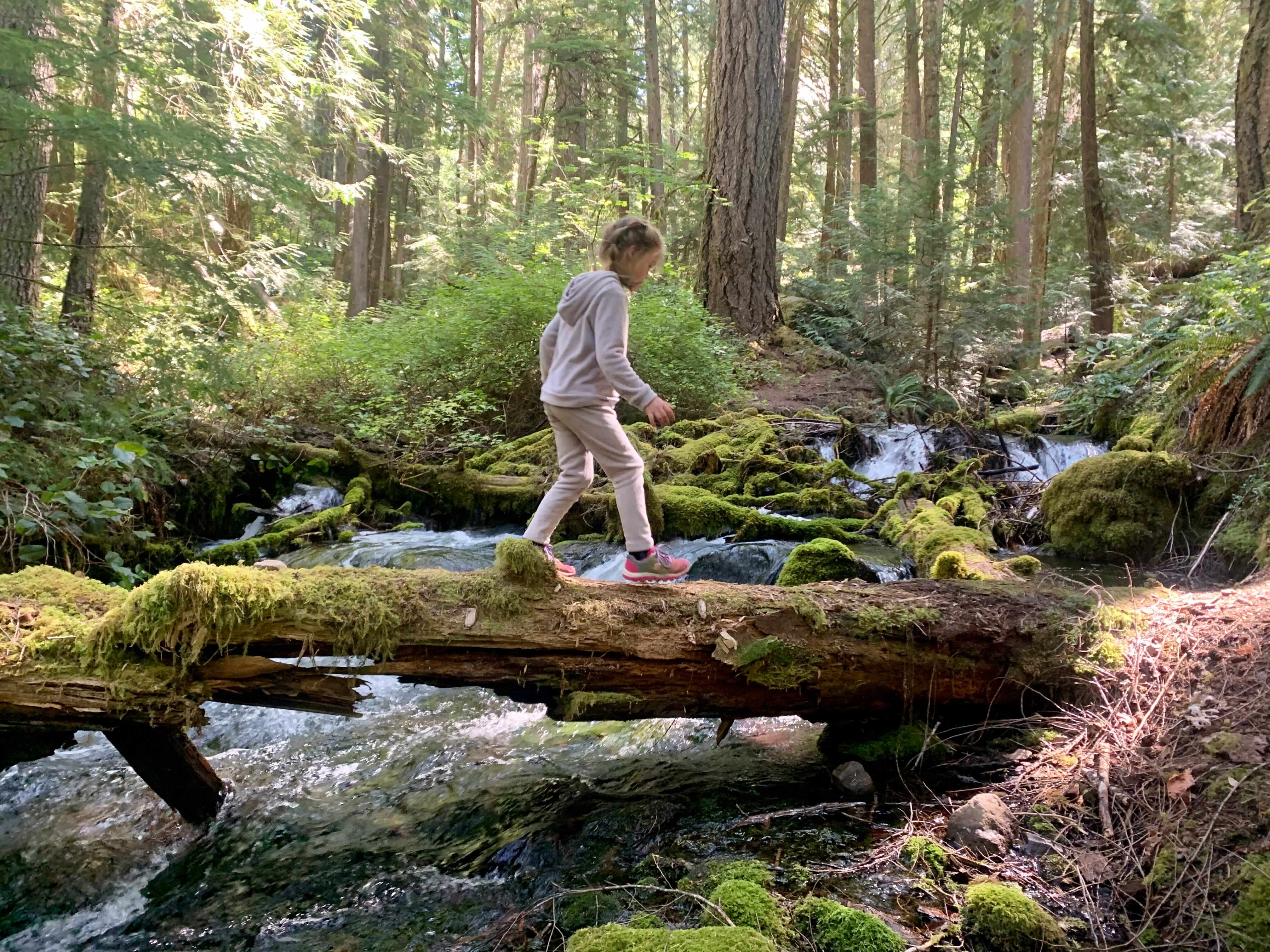 Middle Fork Willamette Trail 4 (1)