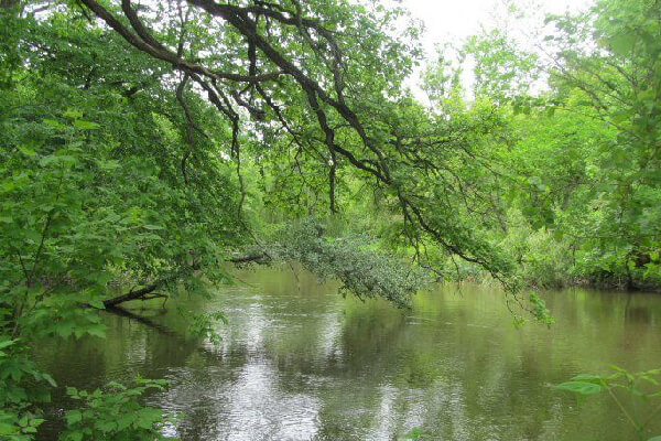 MacNider Woods4