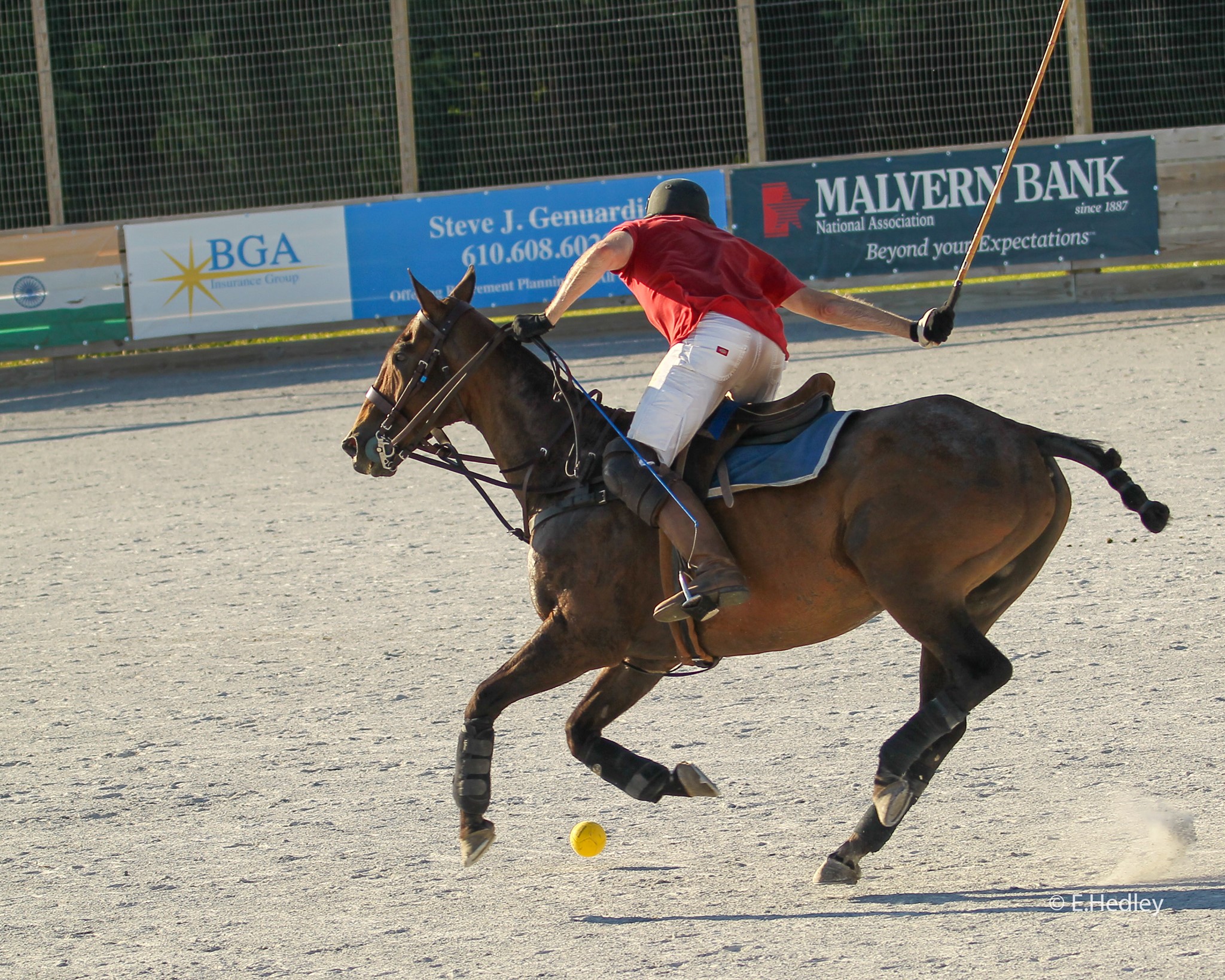 Brandywine Polo Fields & Club 5