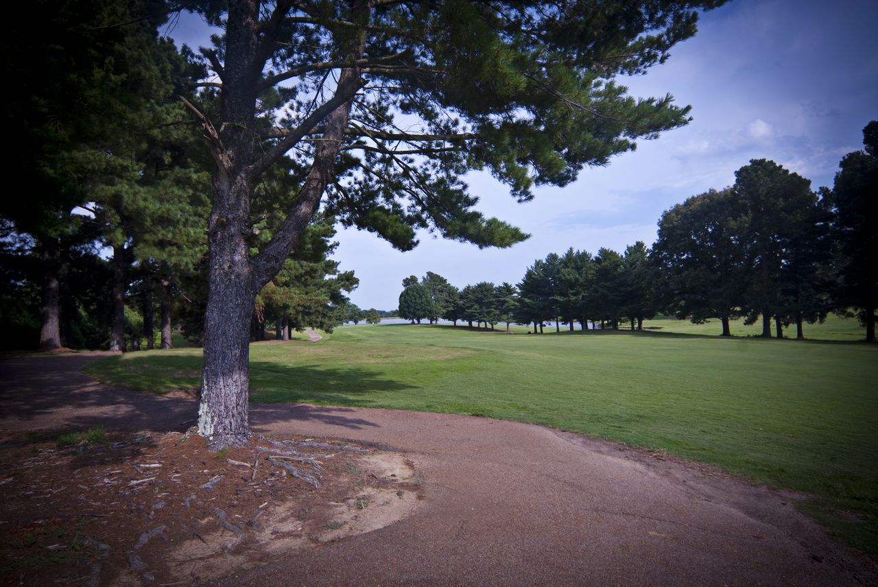 orgill park golf course