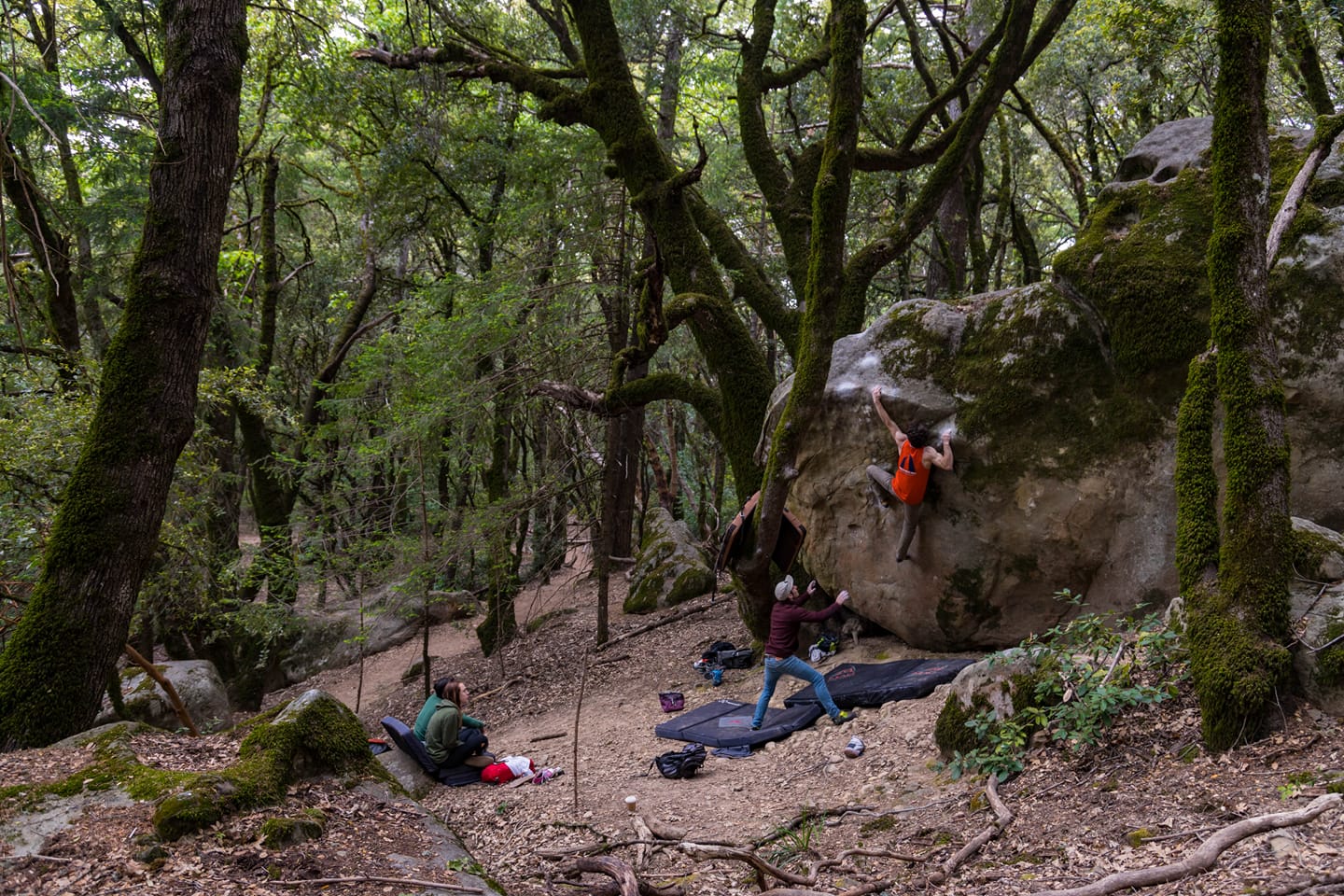 Granite Arch Climbing Center 5