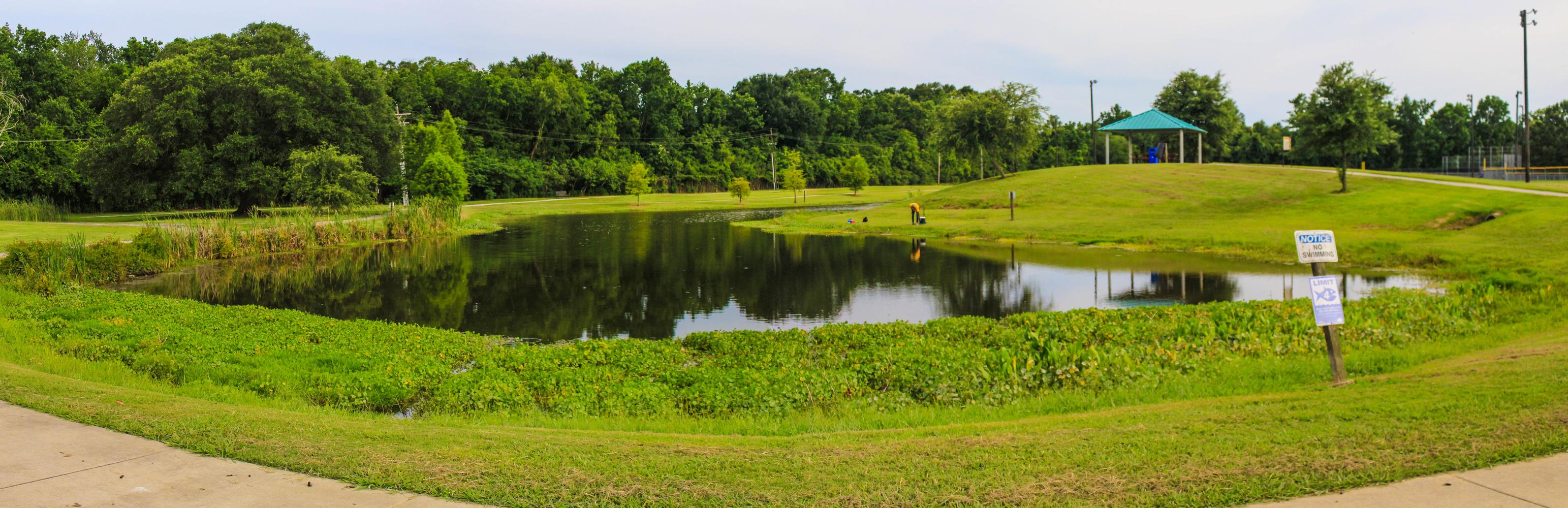 Perkins Road Community Park & Olympia Stadium10