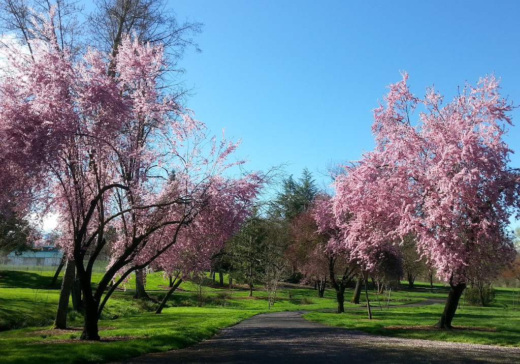 Bear Creek Park Oregon 5
