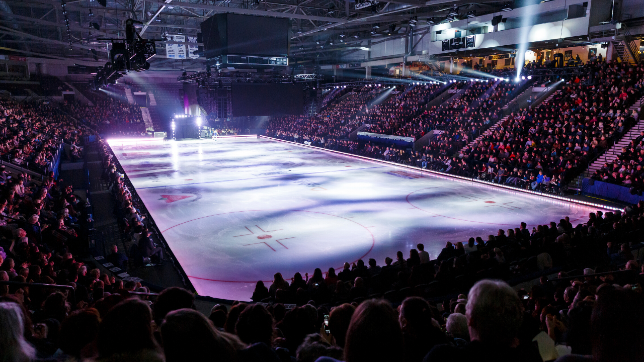 PFFC-skating-Zoom-Virtual-Background.png