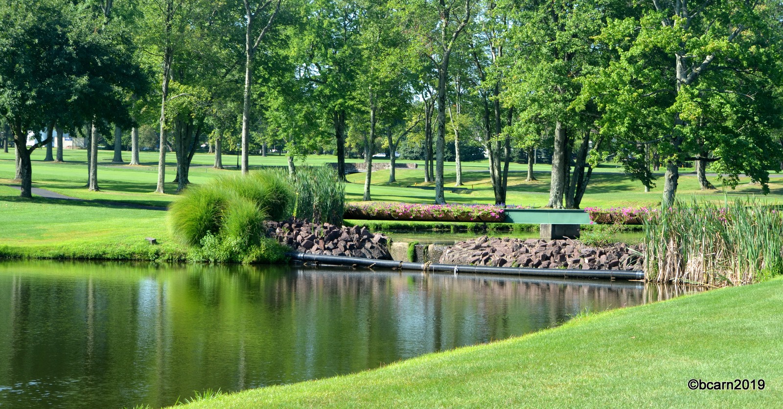 Old York Road Country Club3