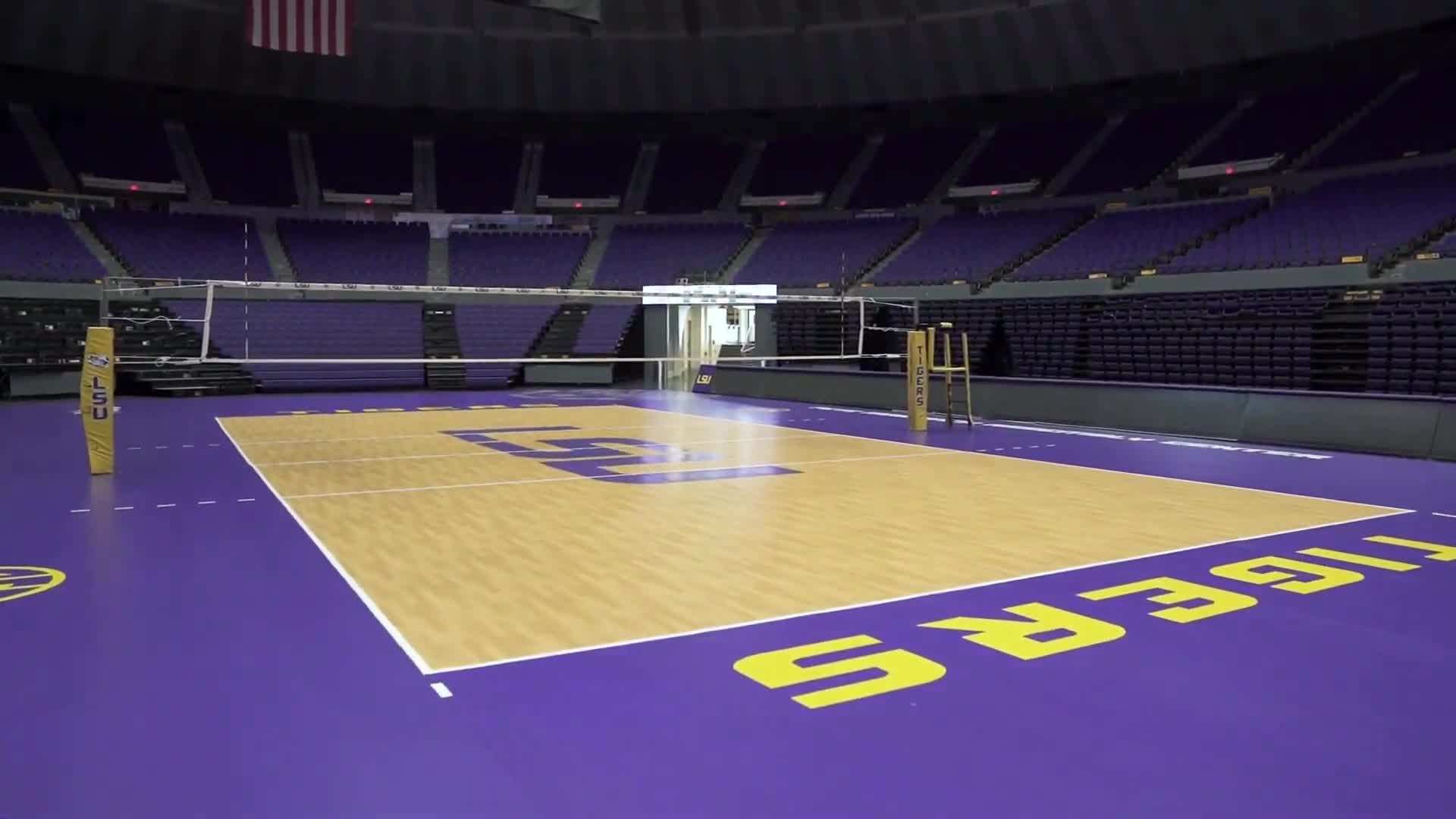 Pete Maravich Volleyball .jpg