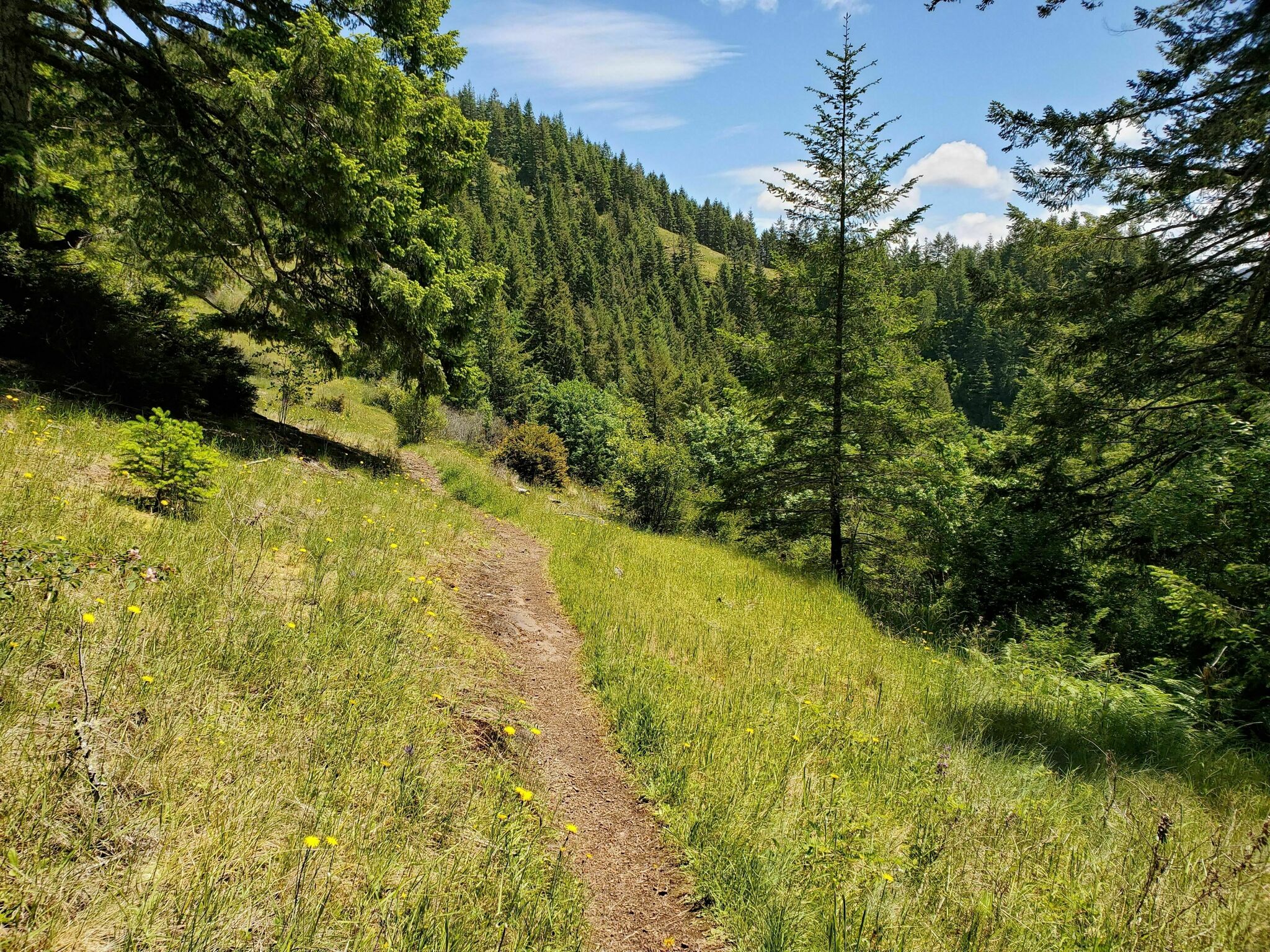 Cummins Creek Trail5