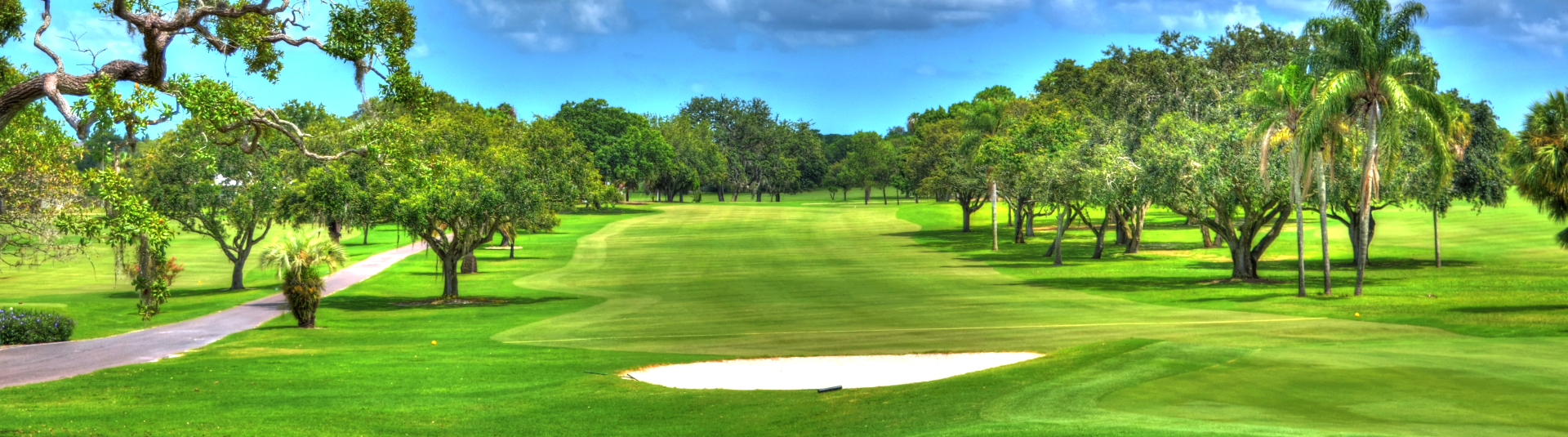 Dunedin Golf Club7