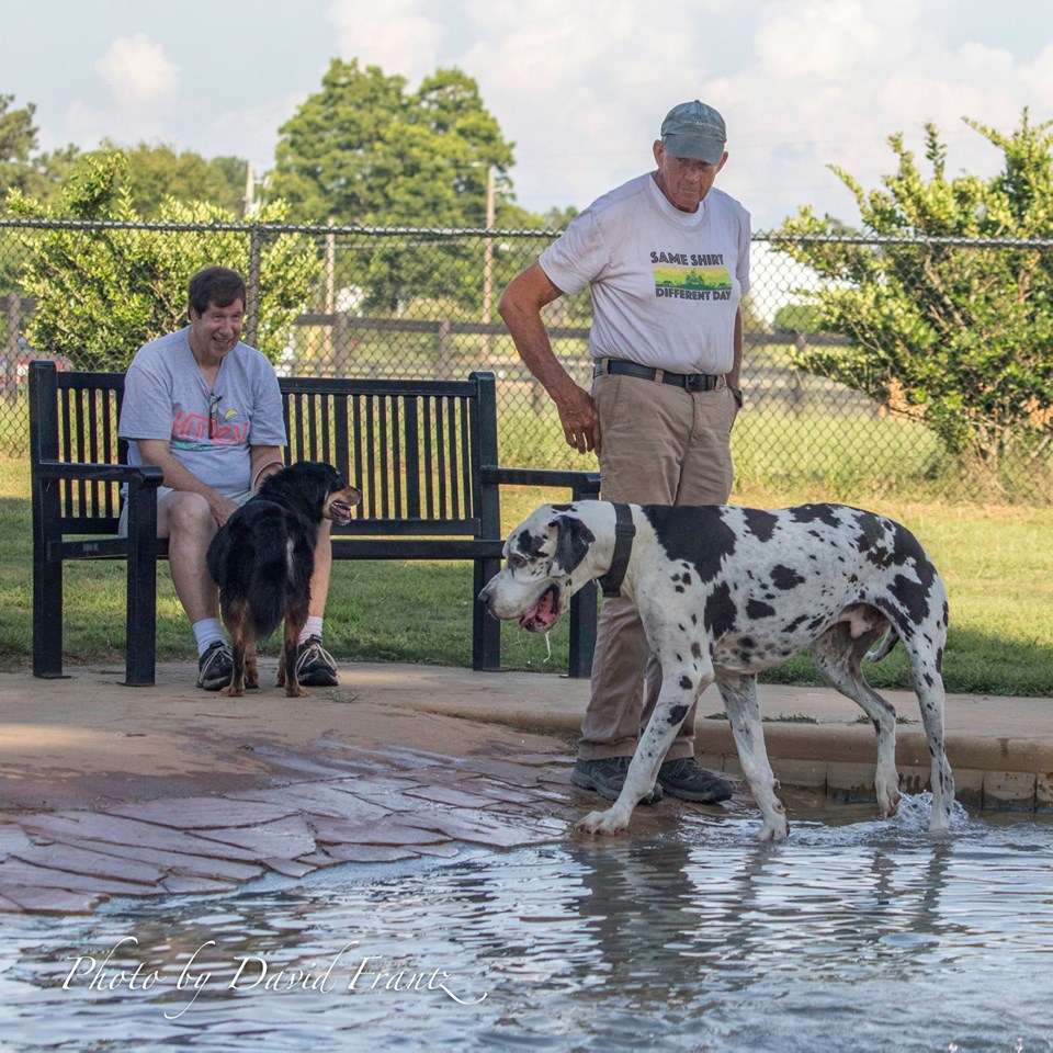 Aiken Dog Park6