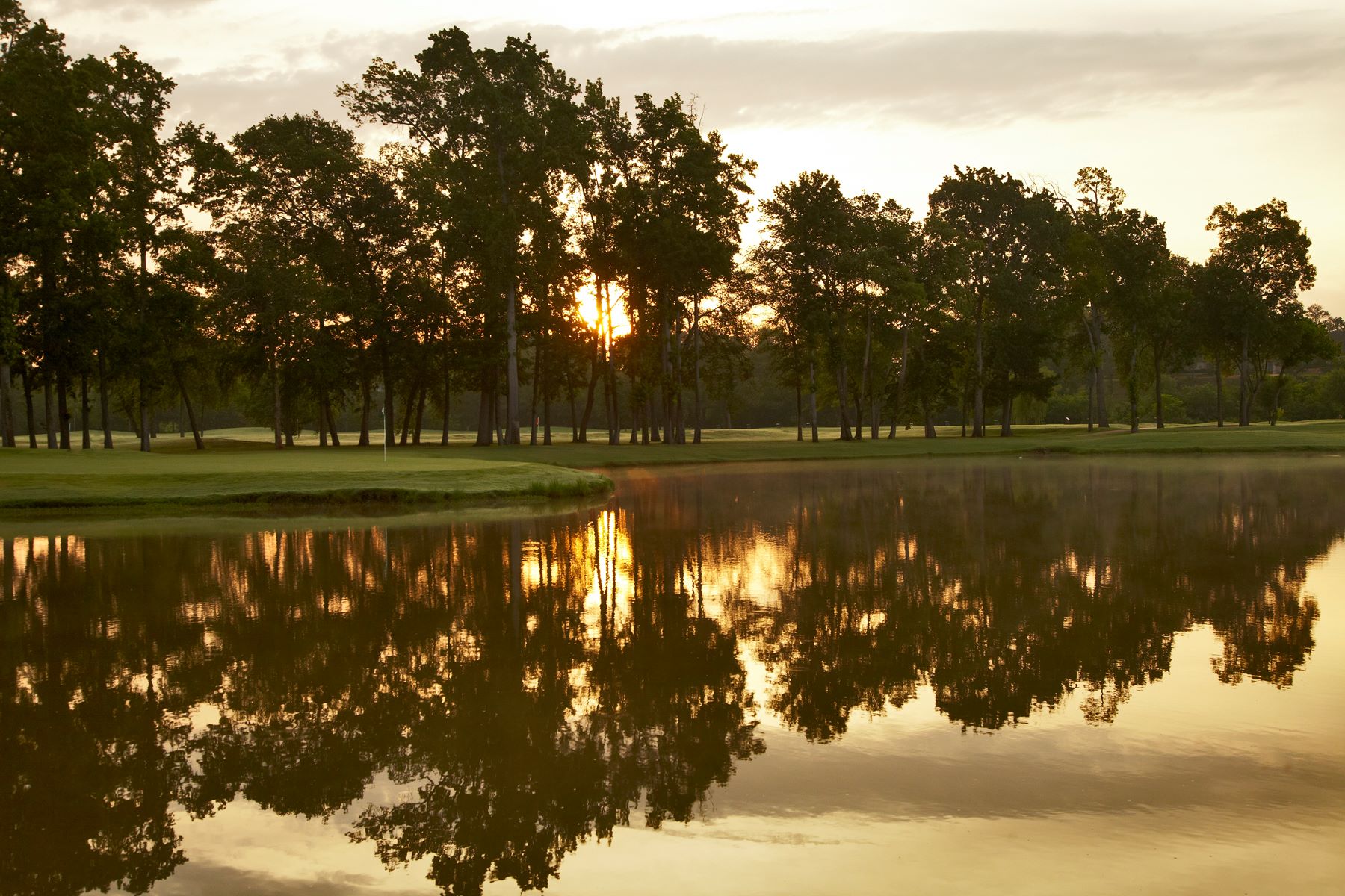 Hollytree Country Club6