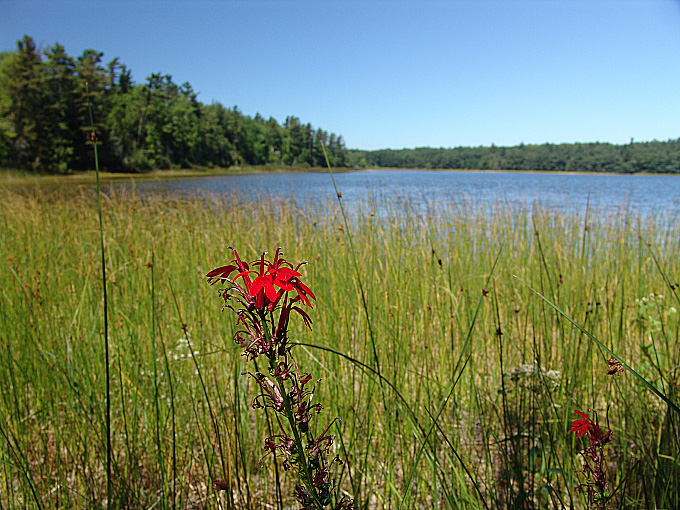 Kehl Lake Natural Area5